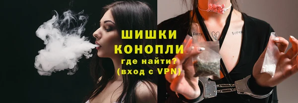 шишки Белоозёрский