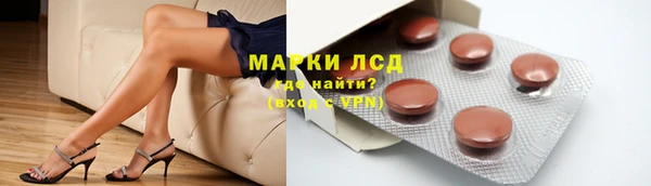 шишки Белоозёрский