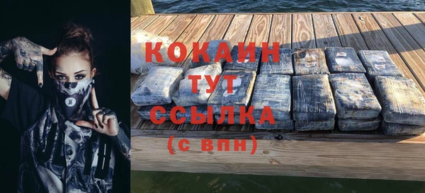 шишки Белоозёрский