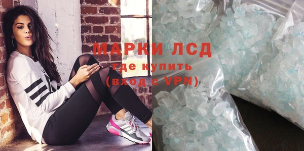 шишки Белоозёрский