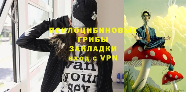 шишки Белоозёрский