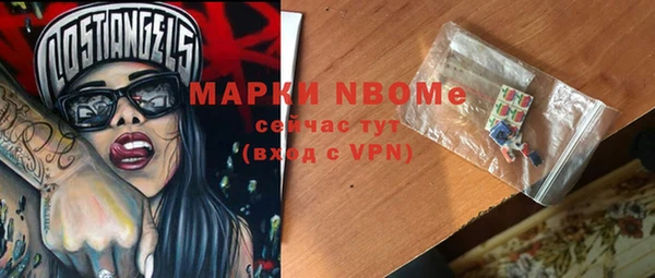 шишки Белоозёрский